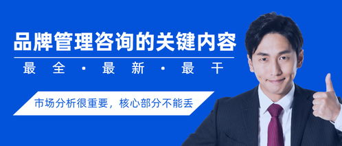 品牌管理咨詢的關(guān)鍵內(nèi)容與目標市場分析的重要性